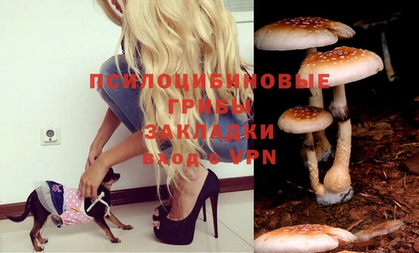 стафф Лагань