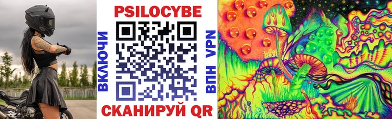 Галлюциногенные грибы Psilocybe  Чухлома 