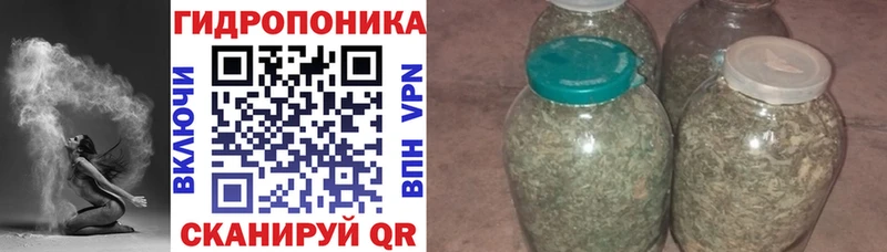 Канабис планчик  Чухлома 